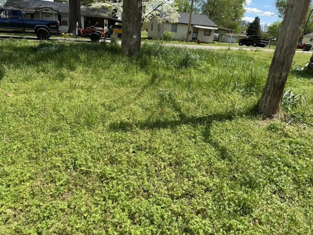 Top-rated landscaping services for outdoor upgrades across McKenzie, TN - Chunns Lawn Care