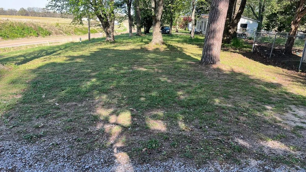 Professional lawn mowing service for year-round maintenance in McKenzie, TN by Chunns Lawn Care