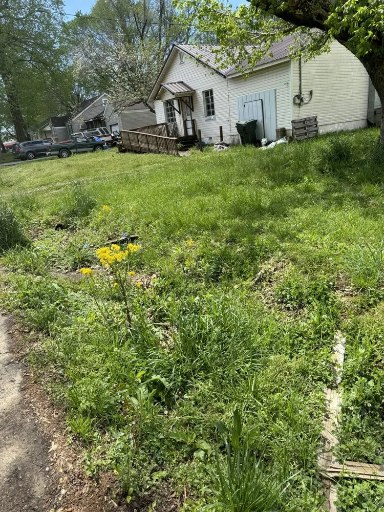 Reliable yard cleanup service experts serving McKenzie, TN - Chunns Lawn Care