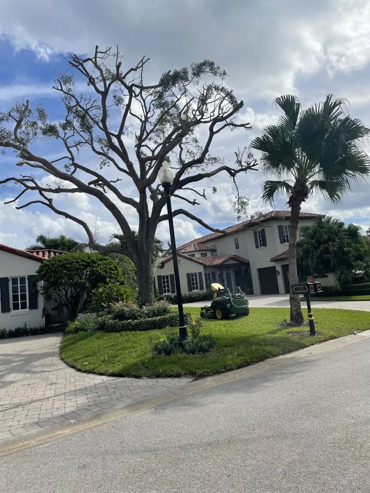 Reliable yard cleanup service in Stuart, FL - Chuns Brothers Landscaping