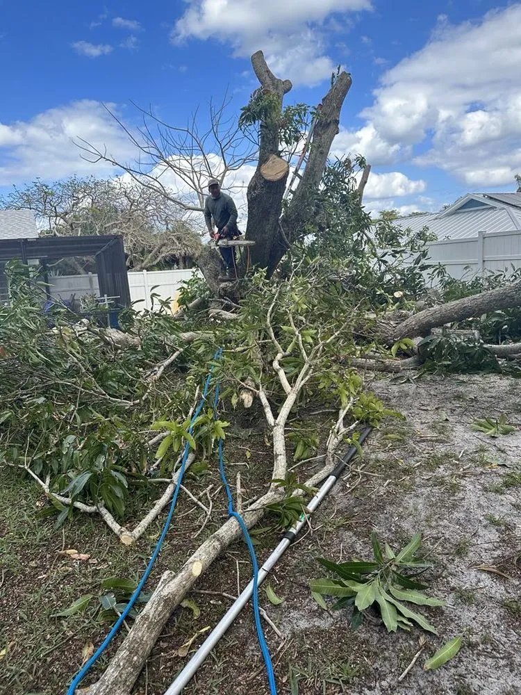 Local landscaping services experts serving Stuart, FL - Chuns Brothers Landscaping