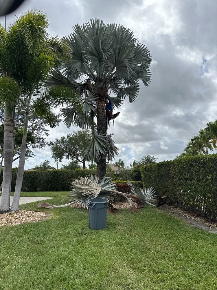 Reliable yard maintenance for year-round maintenance across Stuart, FL - Chuns Brothers Landscaping
