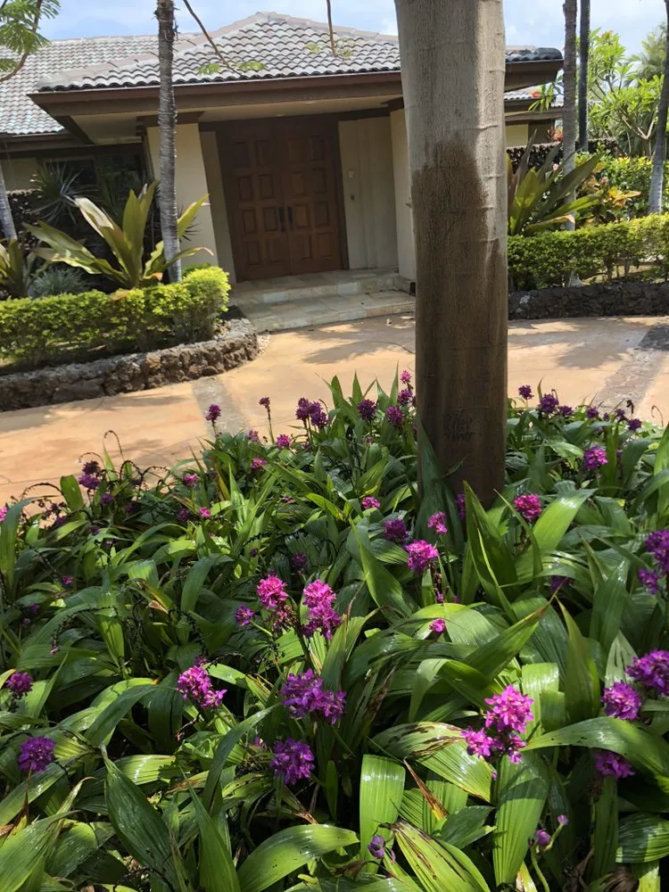 Local lawn care service in Kamuela, HI by Chun's Irrigation & Landscaping