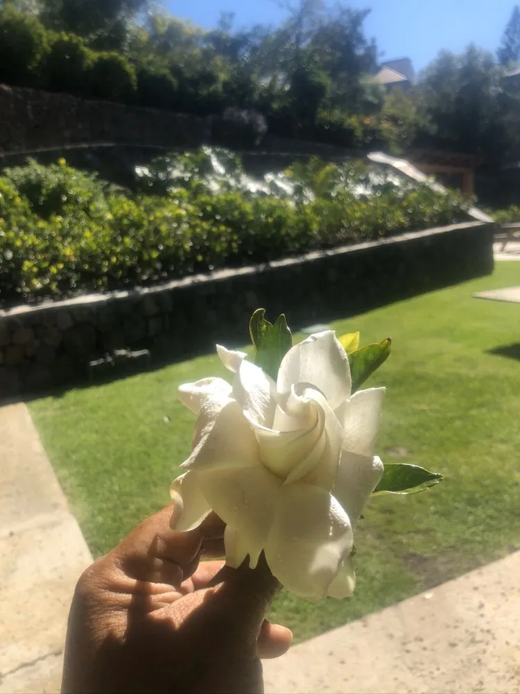 Trusted yard maintenance for outdoor upgrades across Kamuela, HI - Chun's Irrigation & Landscaping