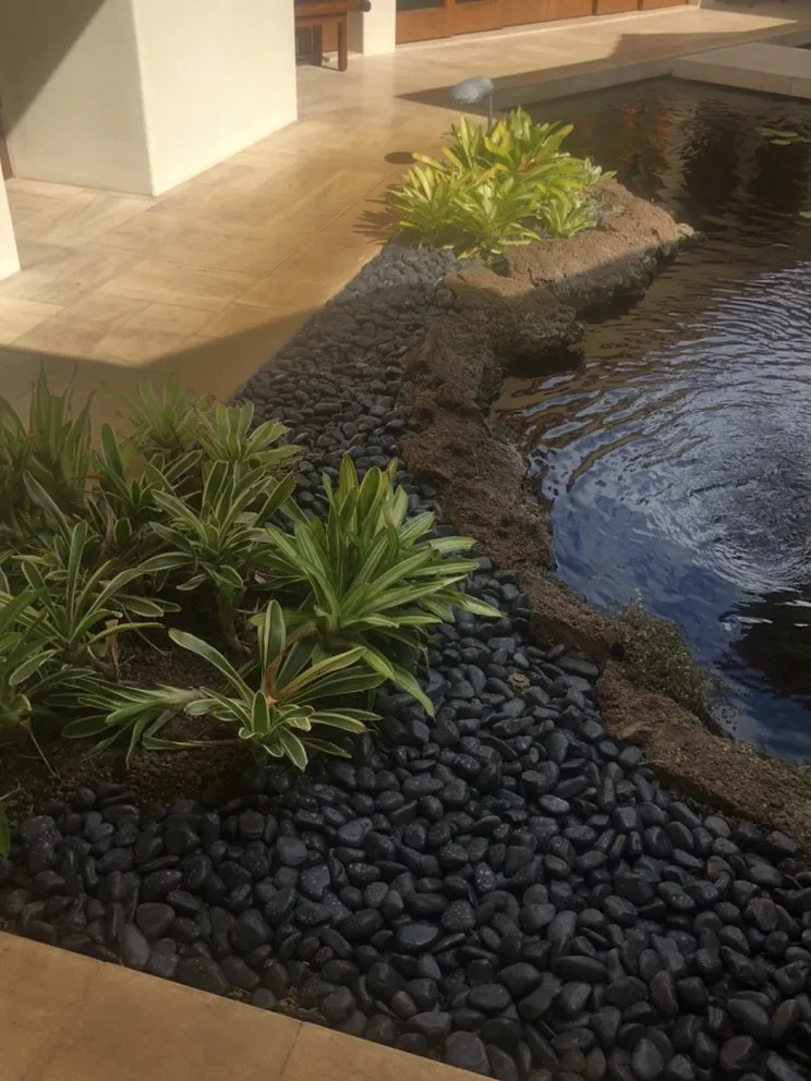 Custom lawn care service in Kamuela, HI by Chun's Irrigation & Landscaping
