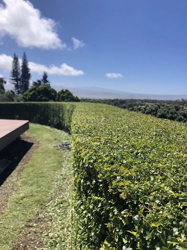 Expert garden landscaping experts serving Kamuela, HI - Chun's Irrigation & Landscaping