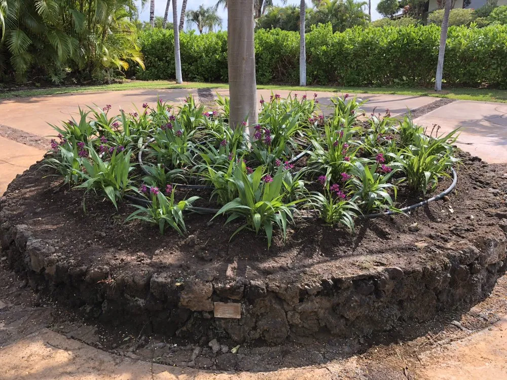 Local lawn mowing service for beautiful yards across Kamuela, HI - Chun's Irrigation & Landscaping