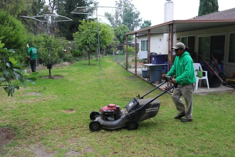 Professional landscape installation in Simi Valley, CA - Churape Landscape