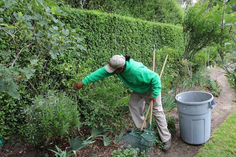 Reliable outdoor landscaping near you across Simi Valley, CA - Churape Landscape