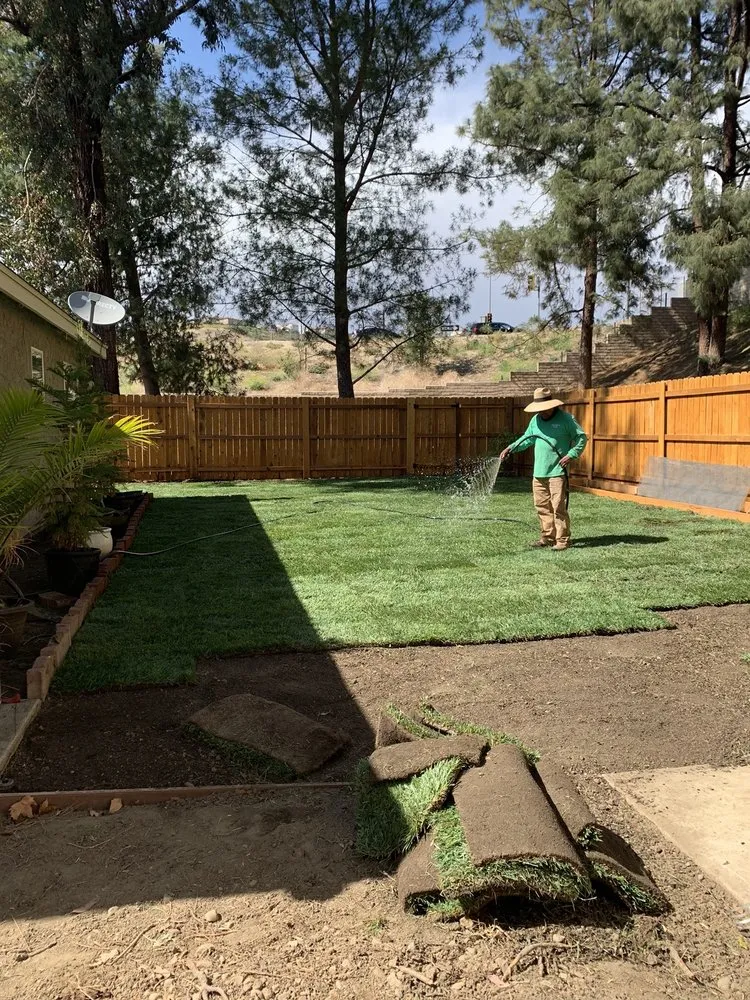 Local yard cleanup service experts serving Simi Valley, CA - Churape Landscape