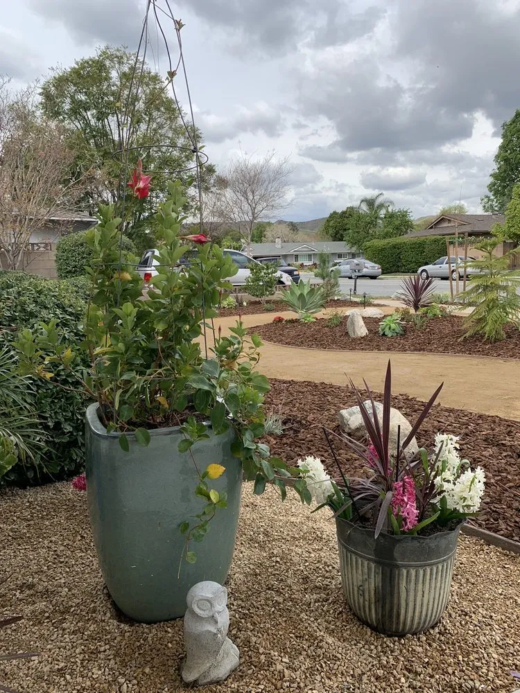 Professional lawn care service in Simi Valley, CA - Churape Landscape