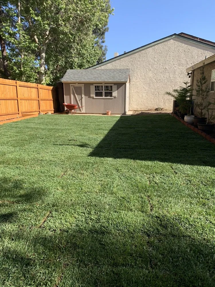 Expert lawn care service experts serving Simi Valley, CA - Churape Landscape