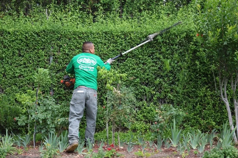 Local landscape design in Simi Valley, CA by Churape Landscape