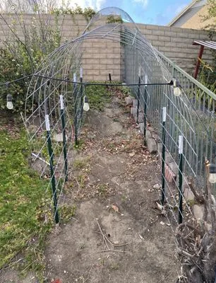 Churape Landscape Logo