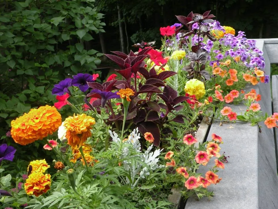Local garden landscaping for residential properties in Pittsfield, MA by Churchill Gardens