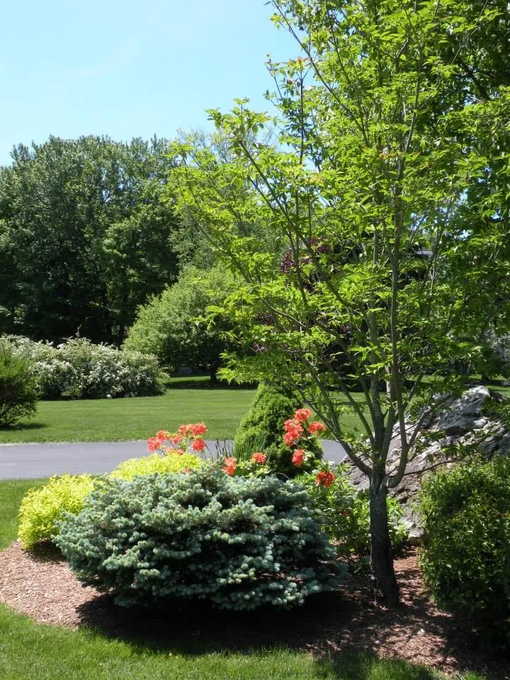 Expert yard maintenance in Pittsfield, MA by Churchill Gardens
