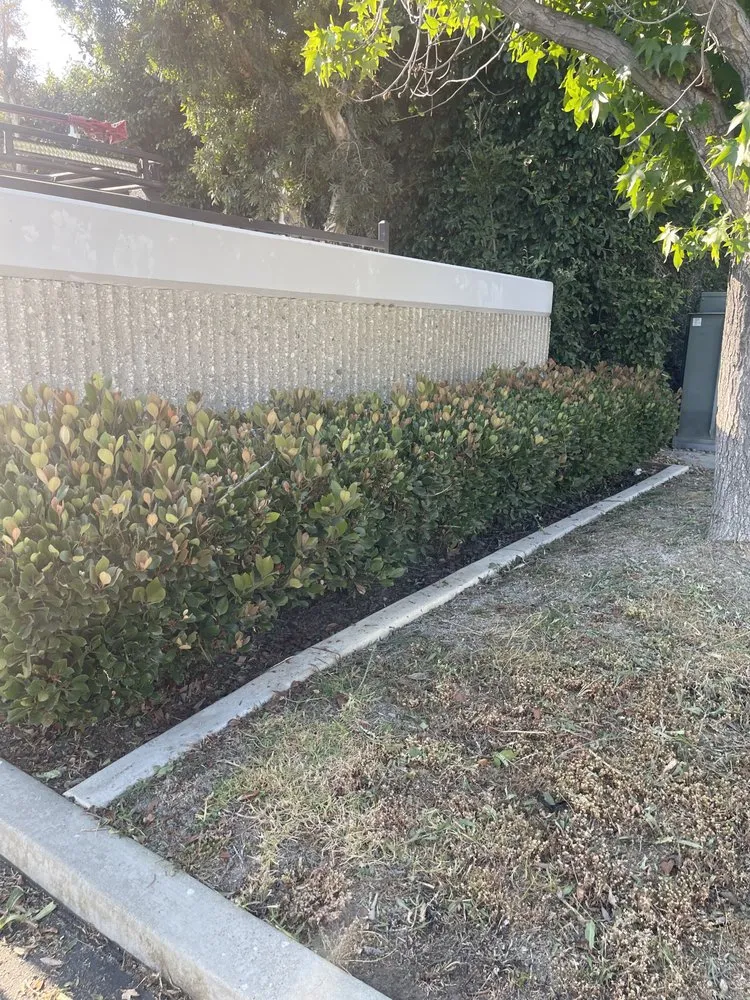 Professional landscape design in Kagel Canyon, CA - Chuy and Son's Landscaping & Property Services
