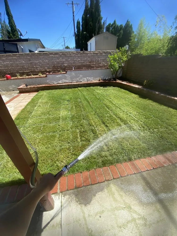 Trusted landscaping services in Kagel Canyon, CA by Chuy and Son's Landscaping & Property Services