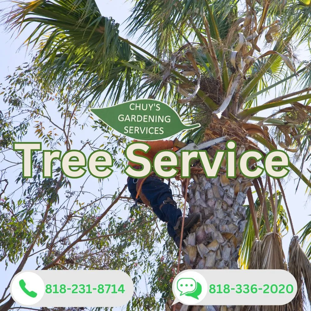 Affordable landscaping services for residential properties across Los Angeles, CA - Chuy’s Gardening Services