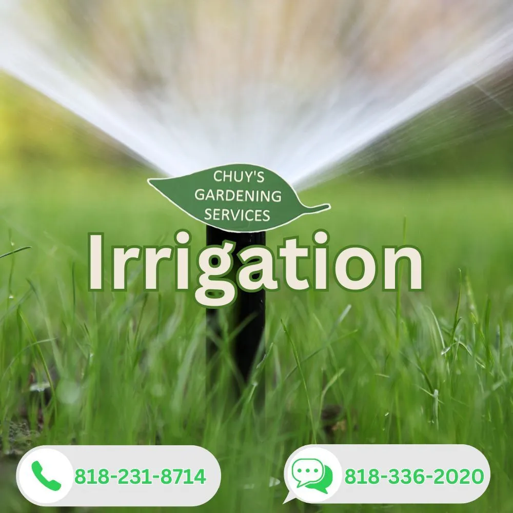 Trusted lawn care service experts serving Los Angeles, CA - Chuy’s Gardening Services