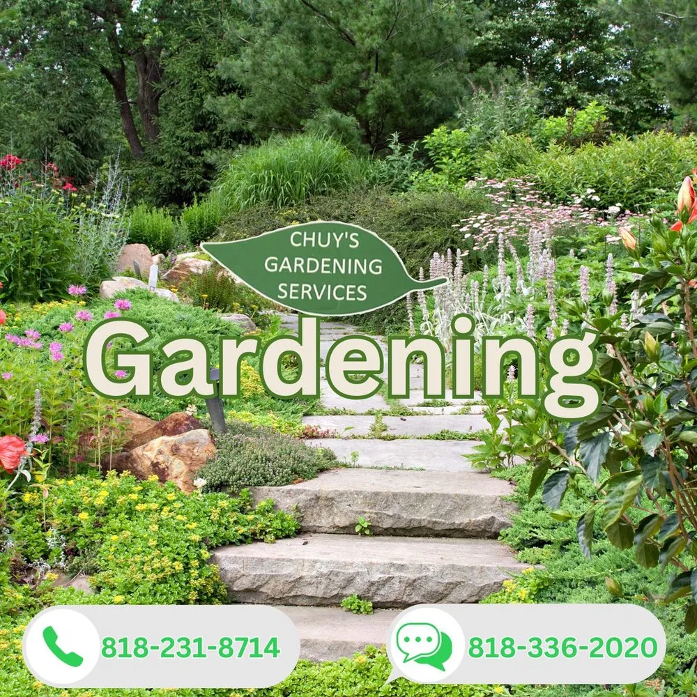 Local lawn mowing service in Los Angeles, CA - Chuy’s Gardening Services