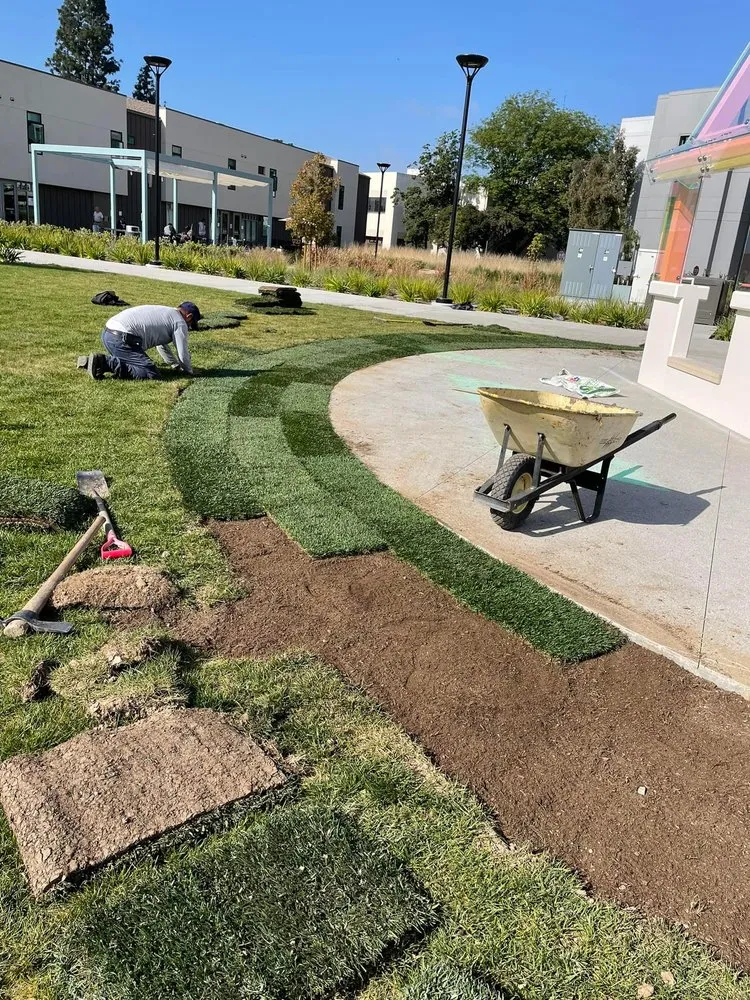 Expert residential landscaping in Los Angeles, CA by Chuy’s Gardening Services