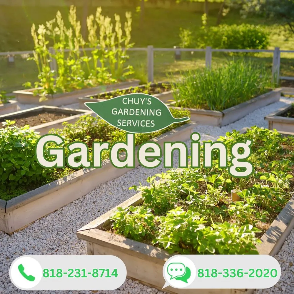 Affordable landscape design with custom design in Los Angeles, CA by Chuy’s Gardening Services