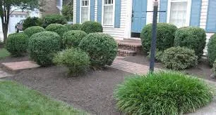 Expert landscape design for year-round maintenance across Bellingham, WA - Chuys landscaping