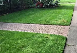Local outdoor landscaping for year-round maintenance across Bellingham, WA - Chuys landscaping