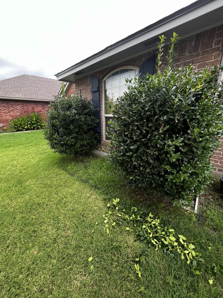 Professional residential landscaping near you in Oklahoma City, OK by Chuy’s Landscaping