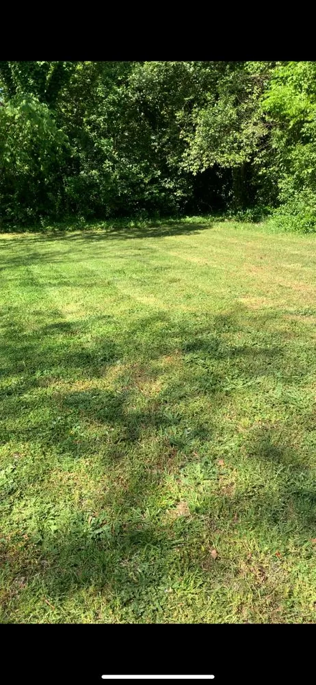 Trusted landscape design in Concord, NC by Chuy’s Lawn Care