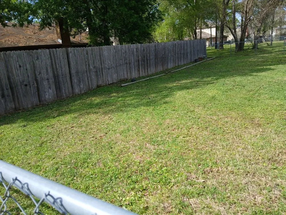 Trusted lawn mowing service for year-round maintenance across Conroe, TX - Chuys Lawn Service
