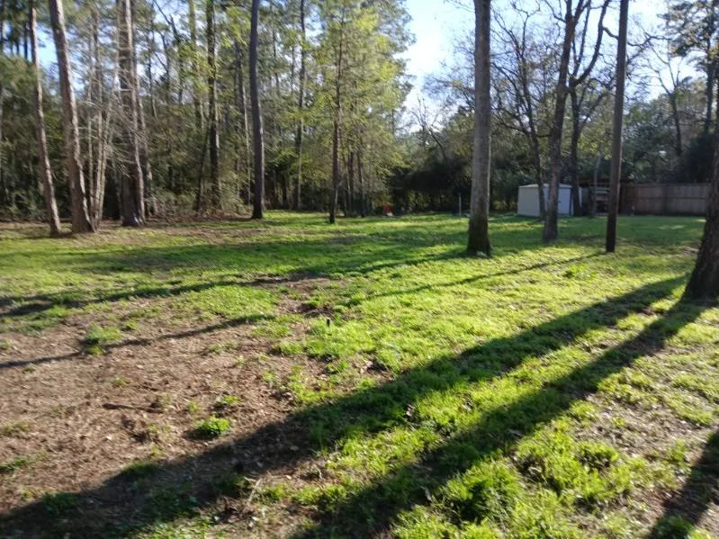 Custom landscape installation in Conroe, TX - Chuys Lawn Service