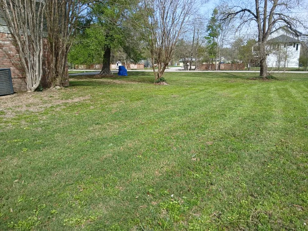 Trusted landscaping services near you in Conroe, TX by Chuys Lawn Service