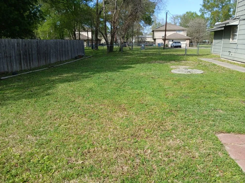 Local yard cleanup service for outdoor upgrades in Conroe, TX by Chuys Lawn Service