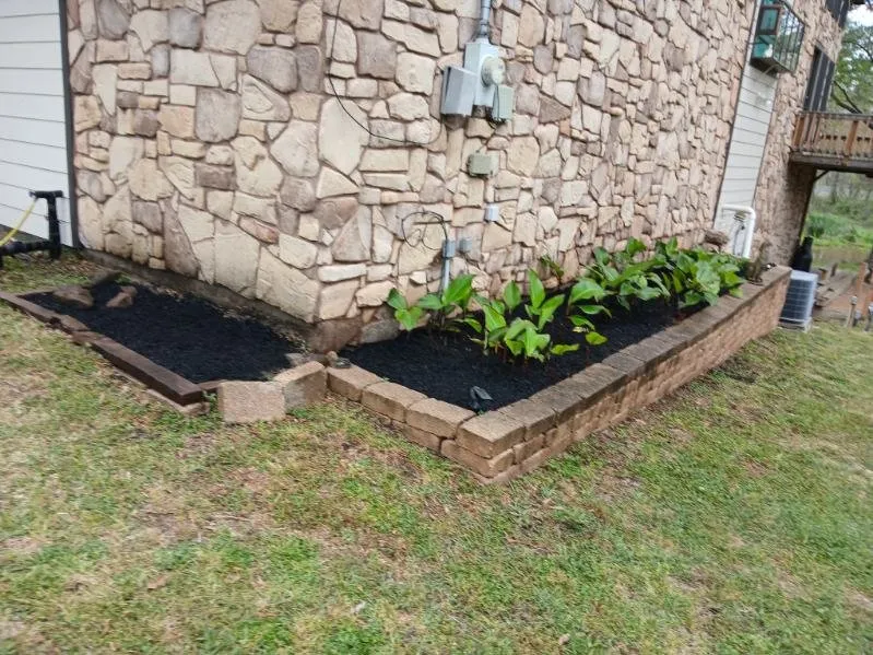 Local yard cleanup service in Conroe, TX by Chuys Lawn Service