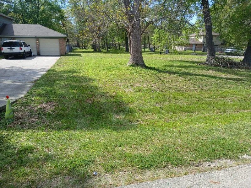 Reliable yard cleanup service for homes in Conroe, TX by Chuys Lawn Service