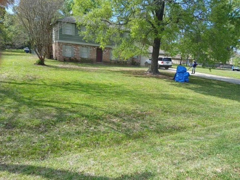 Expert yard maintenance in Conroe, TX by Chuys Lawn Service