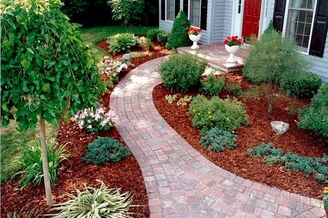 Professional yard cleanup service for beautiful yards in La Marque, TX by Chuy's Nursery and Landscaping