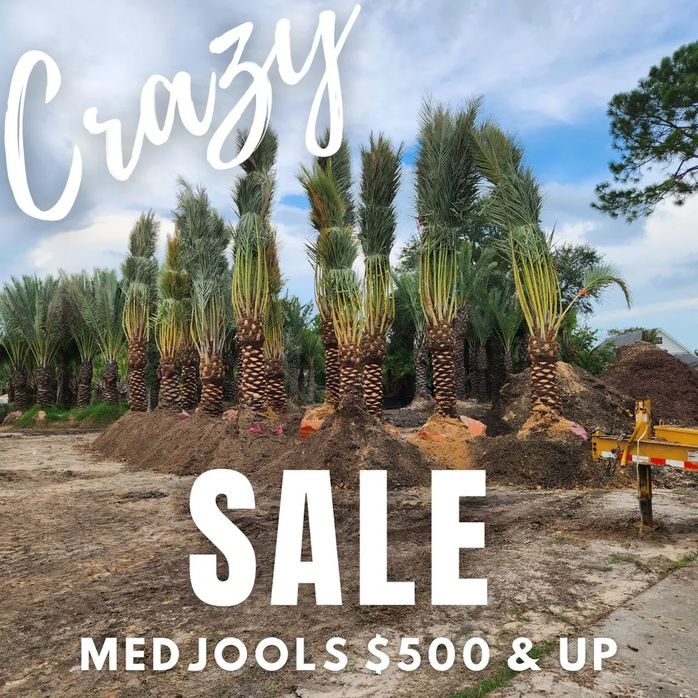 Affordable yard maintenance in La Marque, TX - Chuy's Nursery and Landscaping