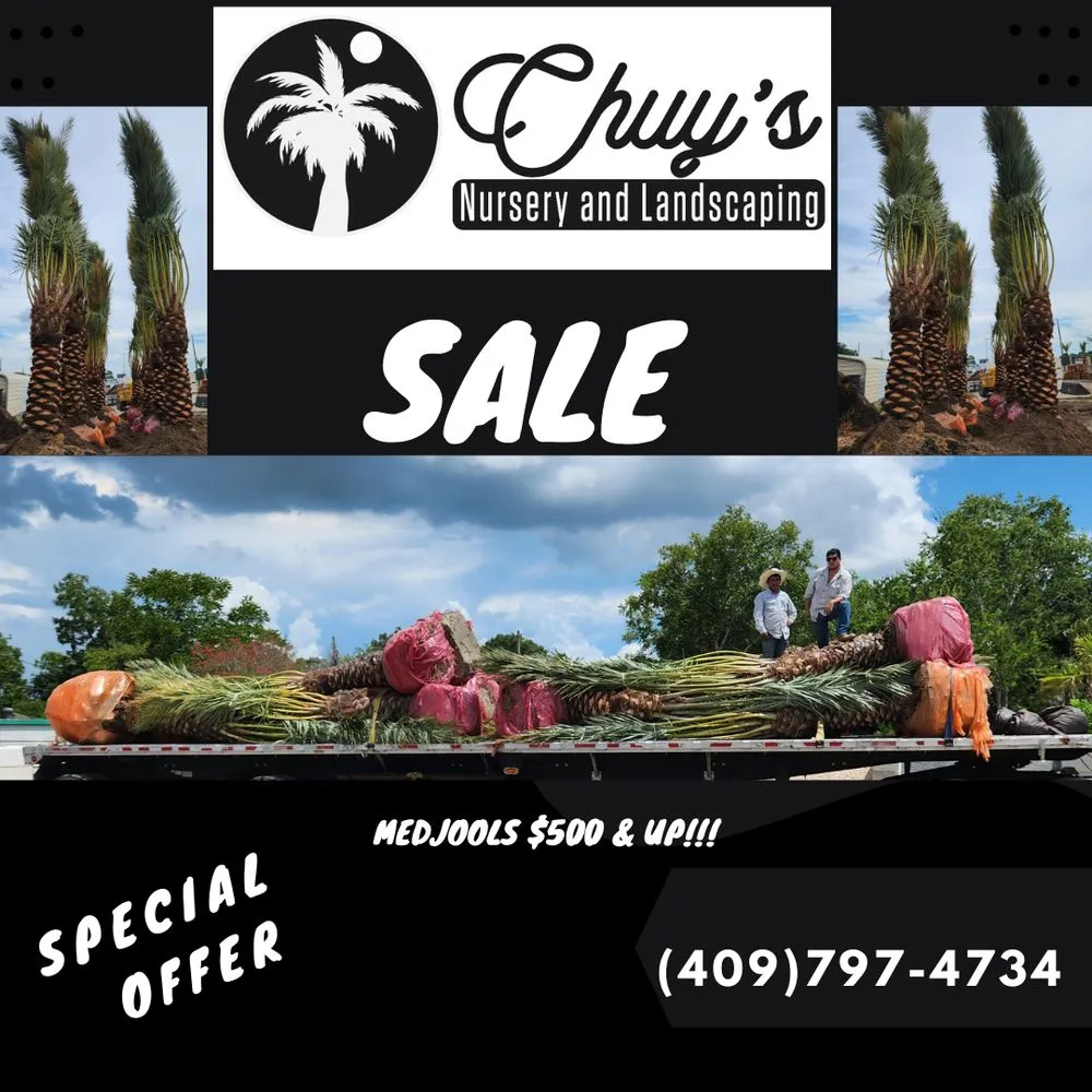 Local residential landscaping for beautiful yards in La Marque, TX by Chuy's Nursery and Landscaping