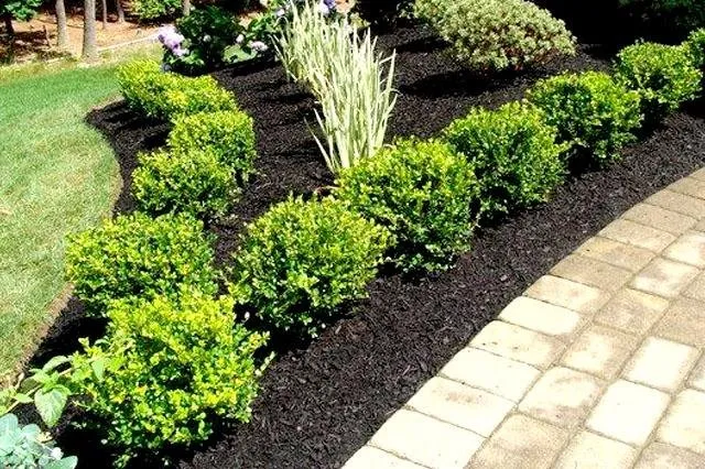 Trusted garden landscaping experts serving La Marque, TX - Chuy's Nursery and Landscaping