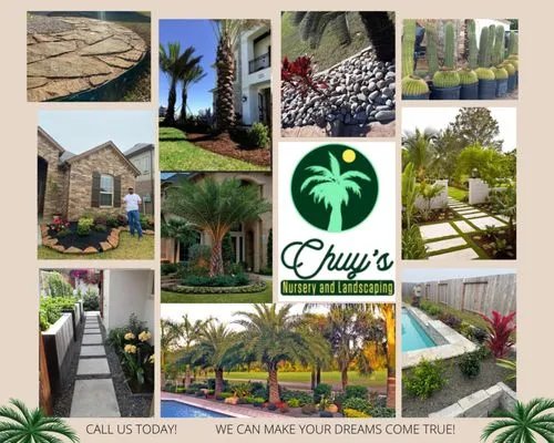 Chuy's Nursery and Landscaping