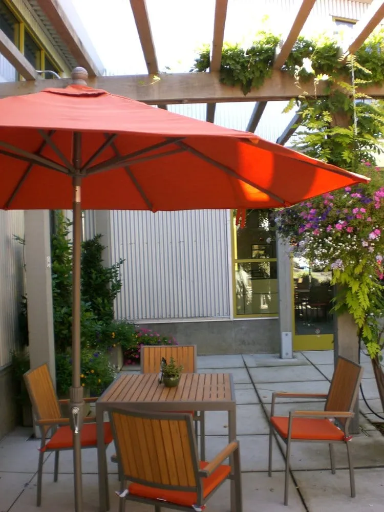 Expert lawn care service in Elgin, TX - C&I Landscaping