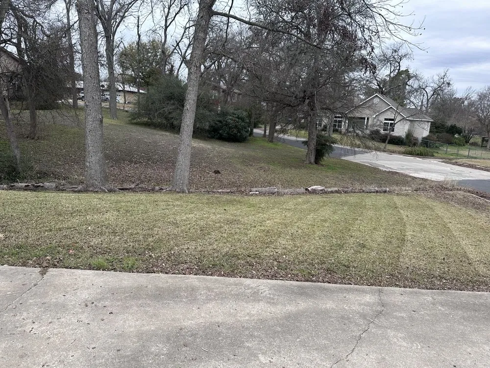 Top-rated lawn care service experts serving Elgin, TX - C&I Landscaping