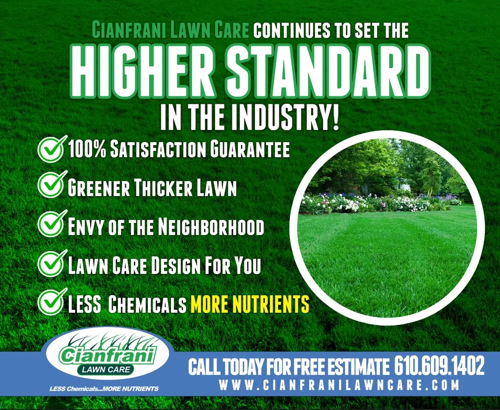 Top-rated garden landscaping for outdoor upgrades across Ridley Park, PA - Cianfrani Lawn Care