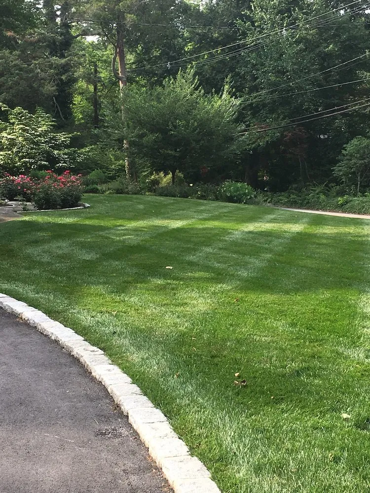 Expert yard maintenance experts serving Ridley Park, PA - Cianfrani Lawn Care