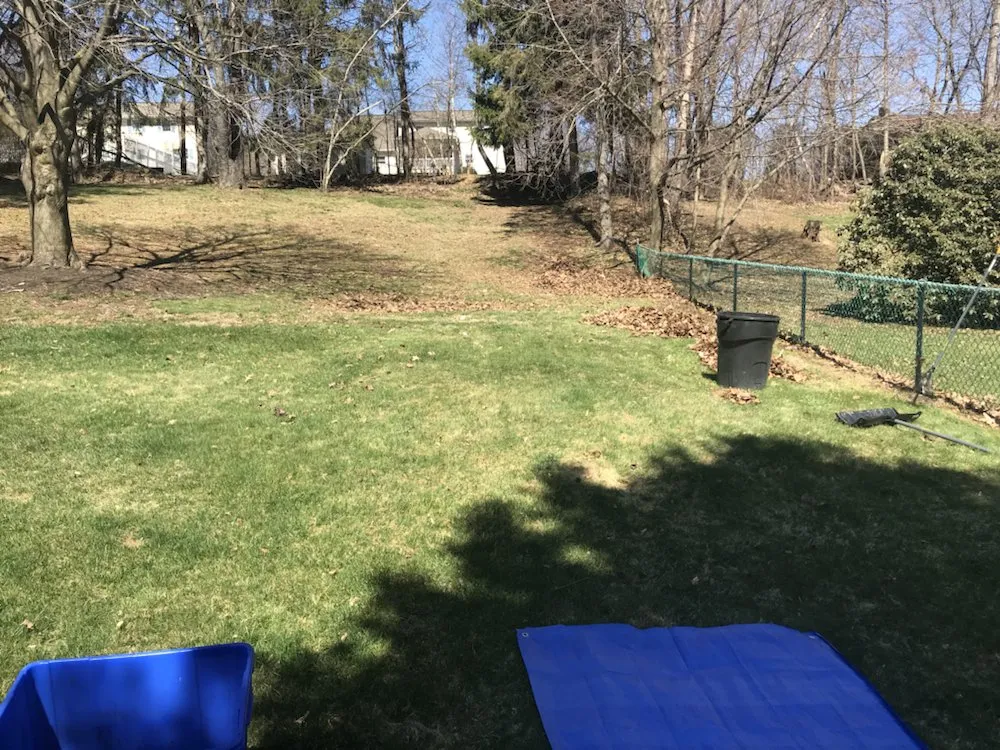Reliable lawn care service in Exeter Township, PA by Ciaston Lawncare