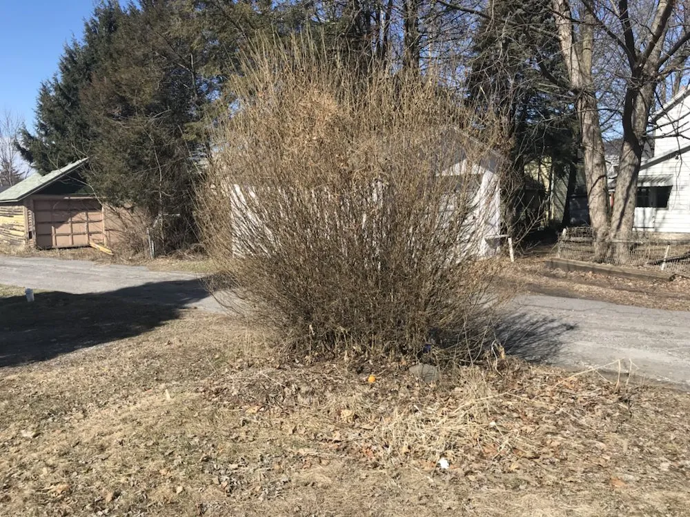 Custom landscape installation near you in Exeter Township, PA by Ciaston Lawncare