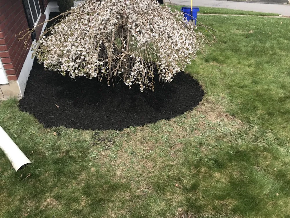 Expert landscaping services experts serving Exeter Township, PA - Ciaston Lawncare
